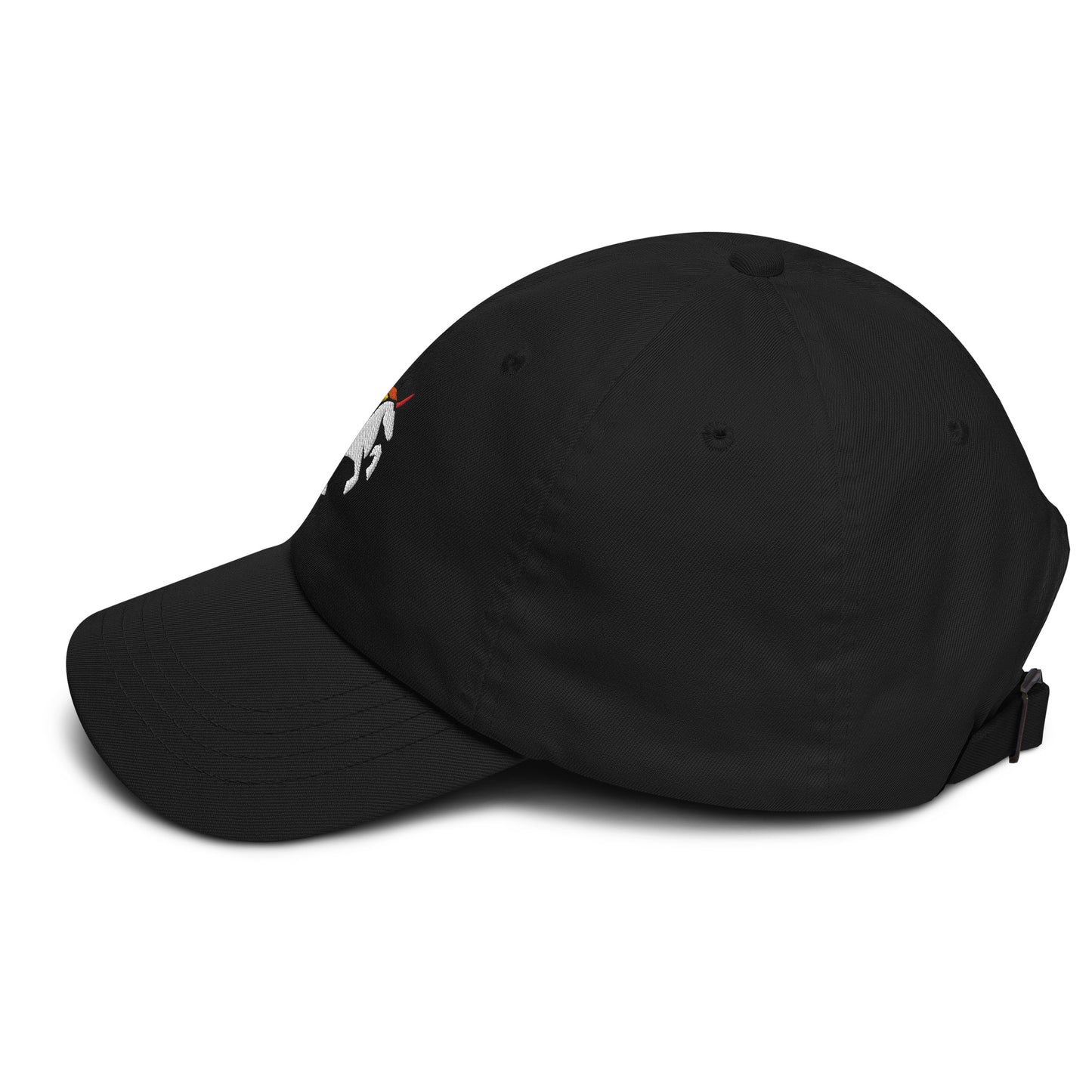 š¦ unisex cap