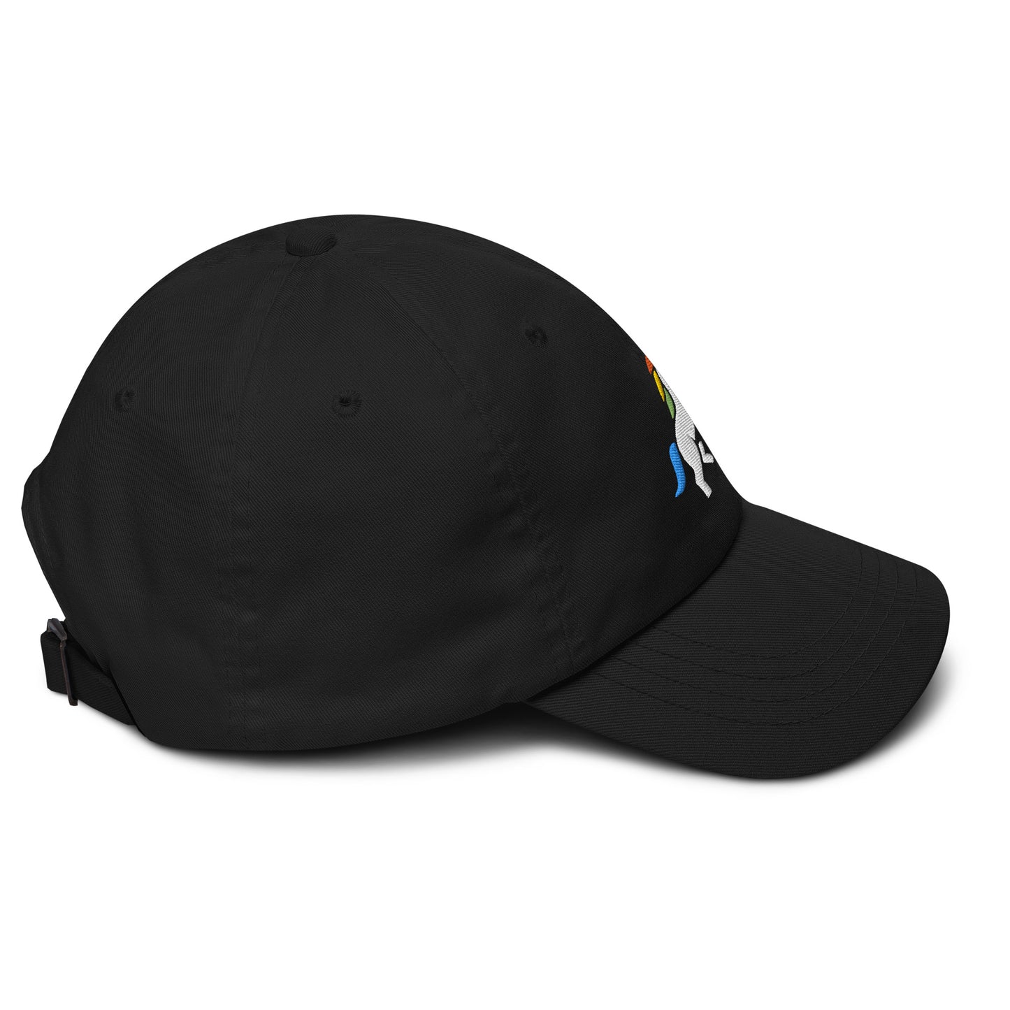 š¦ unisex cap